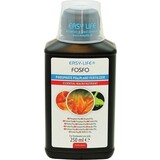 Easy Life Easy Life Fosfo Easy Life Easy Life Fosfo