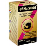 Esha Esha 2000 Esha Esha 2000