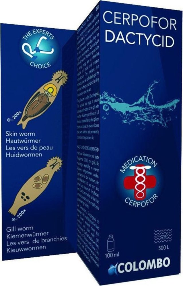 Colombo Colombo cerpofor dactycid