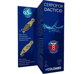 Colombo Colombo cerpofor dactycid Colombo Colombo cerpofor dactycid