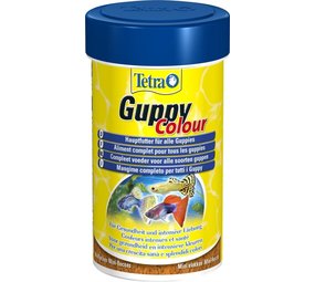 Tetra Tetra guppy colour Tetra Tetra guppy colour