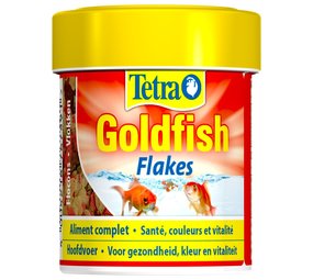 Tetra Tetra goldfish Tetra Tetra goldfish