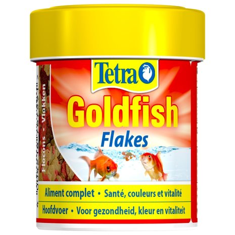 Tetra Tetra goldfish Tetra Tetra goldfish