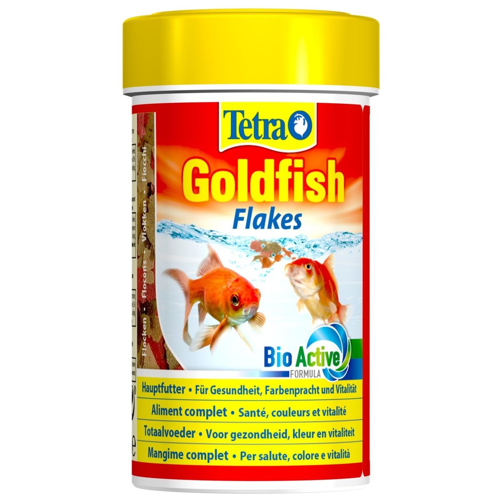 Tetra Tetra goldfish Tetra Tetra goldfish