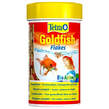 Tetra Tetra goldfish Tetra Tetra goldfish