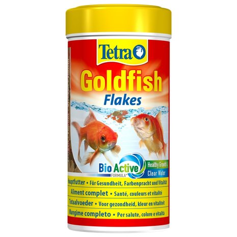 Tetra Tetra goldfish Tetra Tetra goldfish