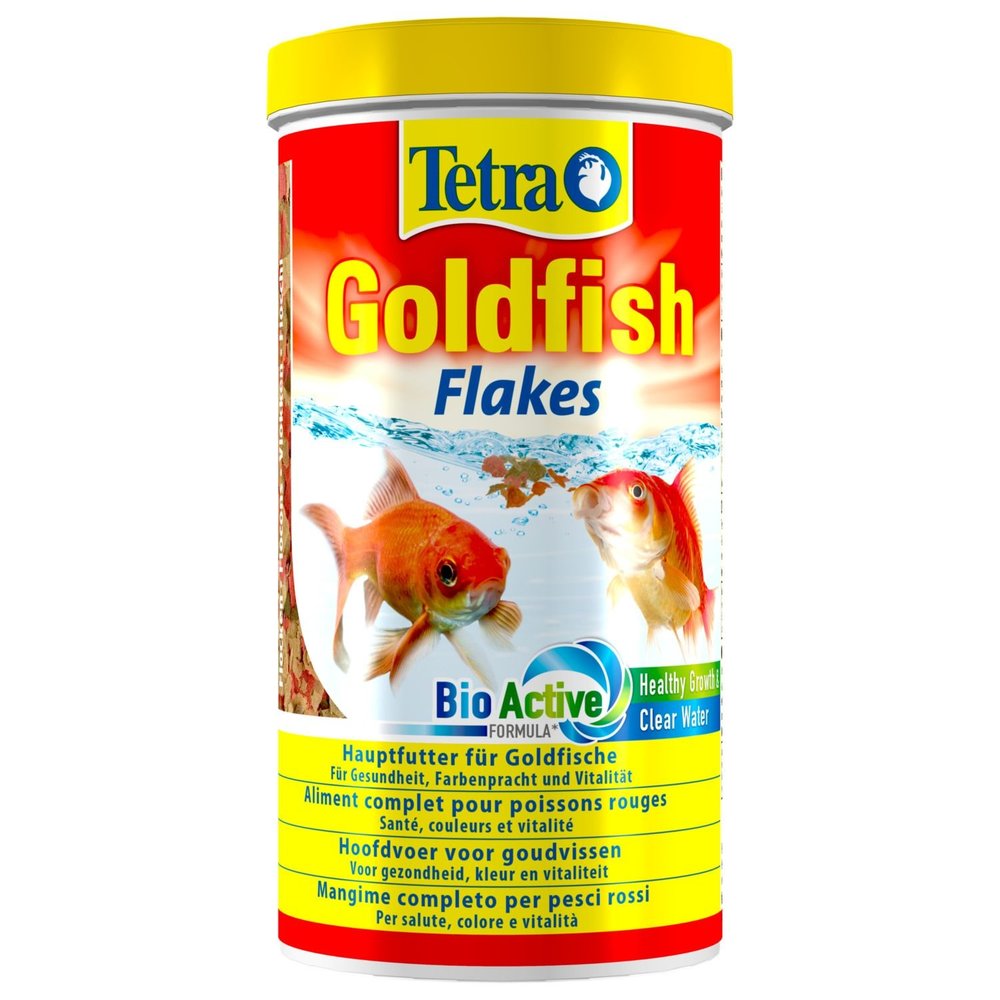 Tetra Tetra goldfish Tetra Tetra goldfish