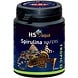 HS Aqua Producten | Alles voor een Gezond & Helder Aquarium Hs Spirulina Wafers