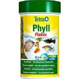 Tetra Tetraphyll Tetra Tetraphyll
