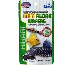 Hikari Visvoer Hikari Mini Algae Wafers Hikari Visvoer Hikari Mini Algae Wafers