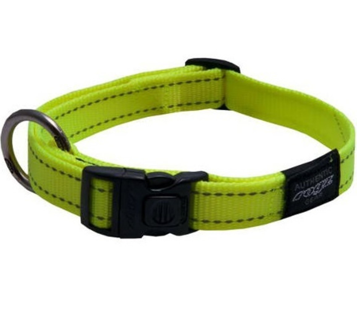 Rogz Rogz Halsband Nitelife S Rogz Rogz Halsband Nitelife S