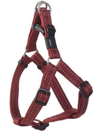 Rogz Rogz Step-in Nitelife H MAAT S Rogz Rogz Step-in Nitelife H MAAT S