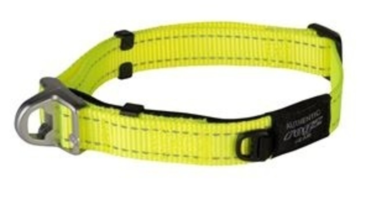 Rogz UTILITY SAFETY HALSBAND L Rogz UTILITY SAFETY HALSBAND L