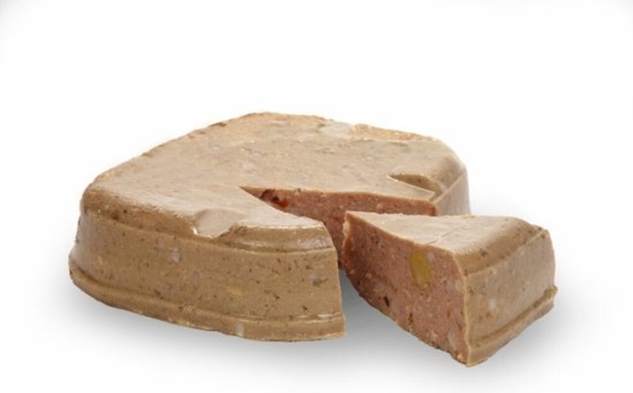 Renske RENSKE HOND PUPPY MET LAMKIP Renske RENSKE HOND PUPPY MET LAMKIP