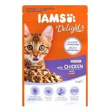 Iams Iams Delights Kitten Gravy Iams Iams Delights Kitten Gravy