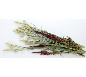 Esve Pet Bouquet Struik Esve Pet Bouquet Struik
