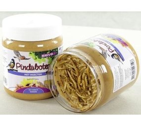 Esve Esve Pindaboter Insecten Esve Esve Pindaboter Insecten