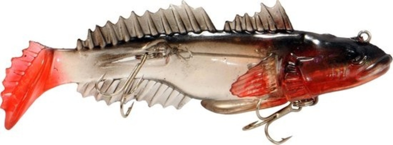 Albatros Albatros ALBASHAD WALLEYE Albatros Albatros ALBASHAD WALLEYE