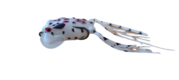 Albatros Albatros NAT. KILLER POPPIN FROG 6CM Albatros Albatros NAT. KILLER POPPIN FROG 6CM