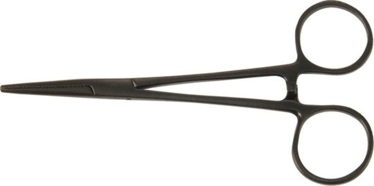 Albatros Albatros ADERTANG RECHT Albatros Albatros ADERTANG RECHT