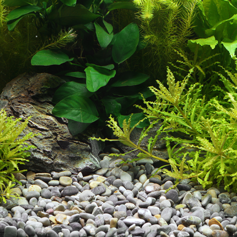 Dennerle Dennerel natural gravel Okavango 8-12MM Dennerle Dennerel natural gravel Okavango 8-12MM