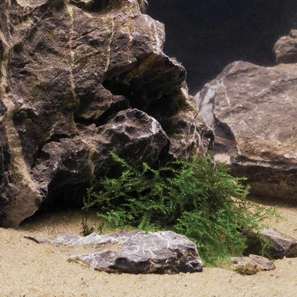 Dennerle Dennerle natural gravel Mekong 0.1-1.4mm Dennerle Dennerle natural gravel Mekong 0.1-1.4mm