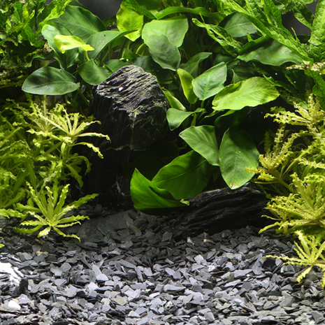 Dennerle Dennerle natural graverl Kongo 3-8MM Dennerle Dennerle natural graverl Kongo 3-8MM