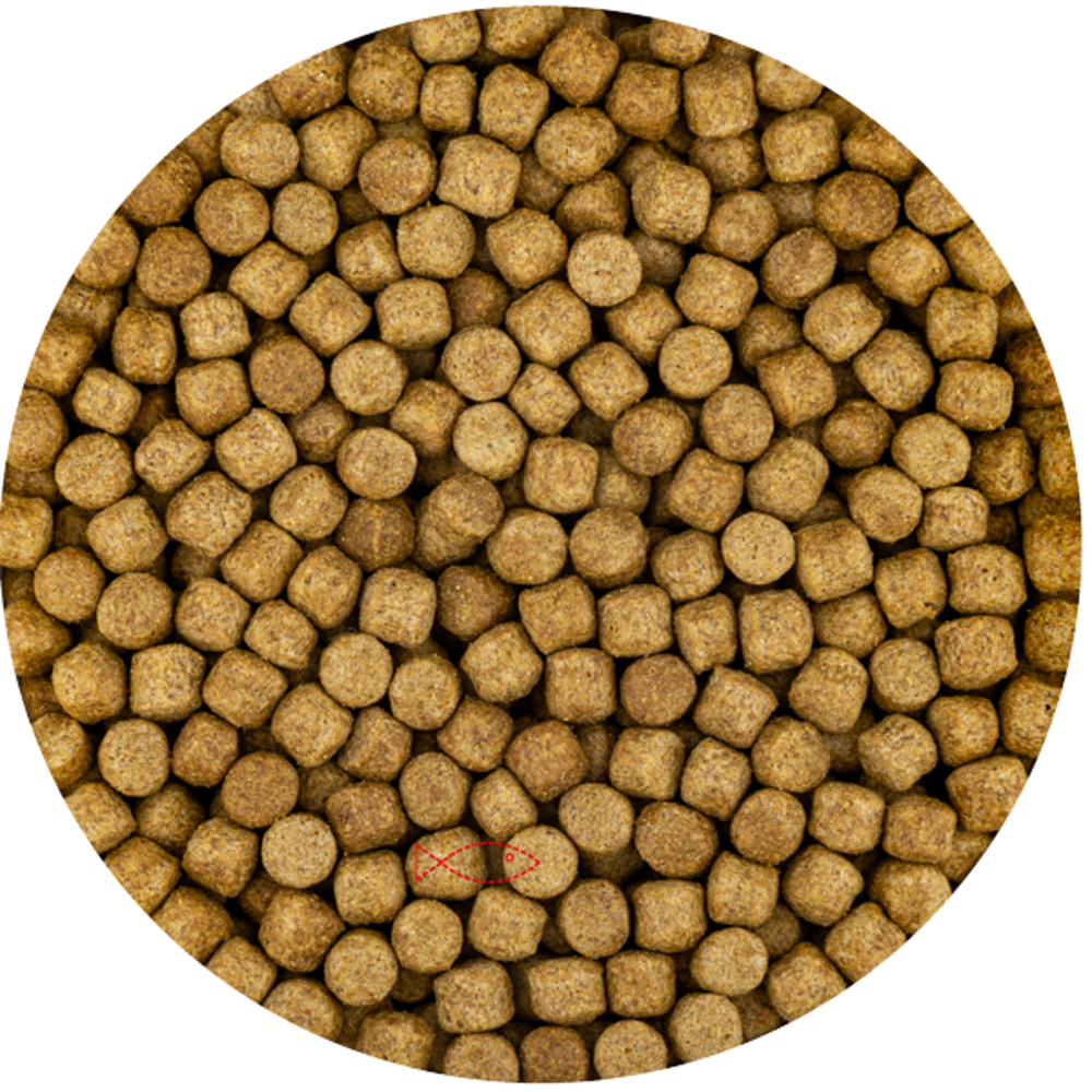 Aquadip HEEMS Wintervoer Aquadip HEEMS Wintervoer