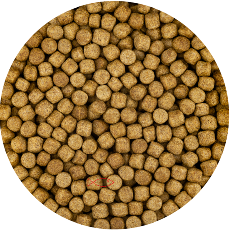 Aquadip HEEMS Wintervoer Aquadip HEEMS Wintervoer