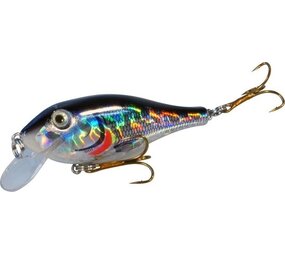 Albatros Albatros FAT BELLY 8CM Albatros Albatros FAT BELLY 8CM