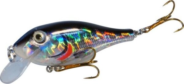 Albatros Albatros FAT BELLY 8CM