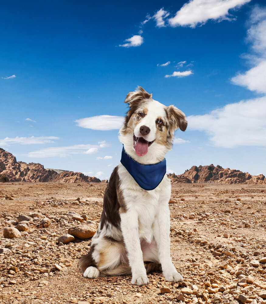 Kowloon Cool bandana donkerblauw