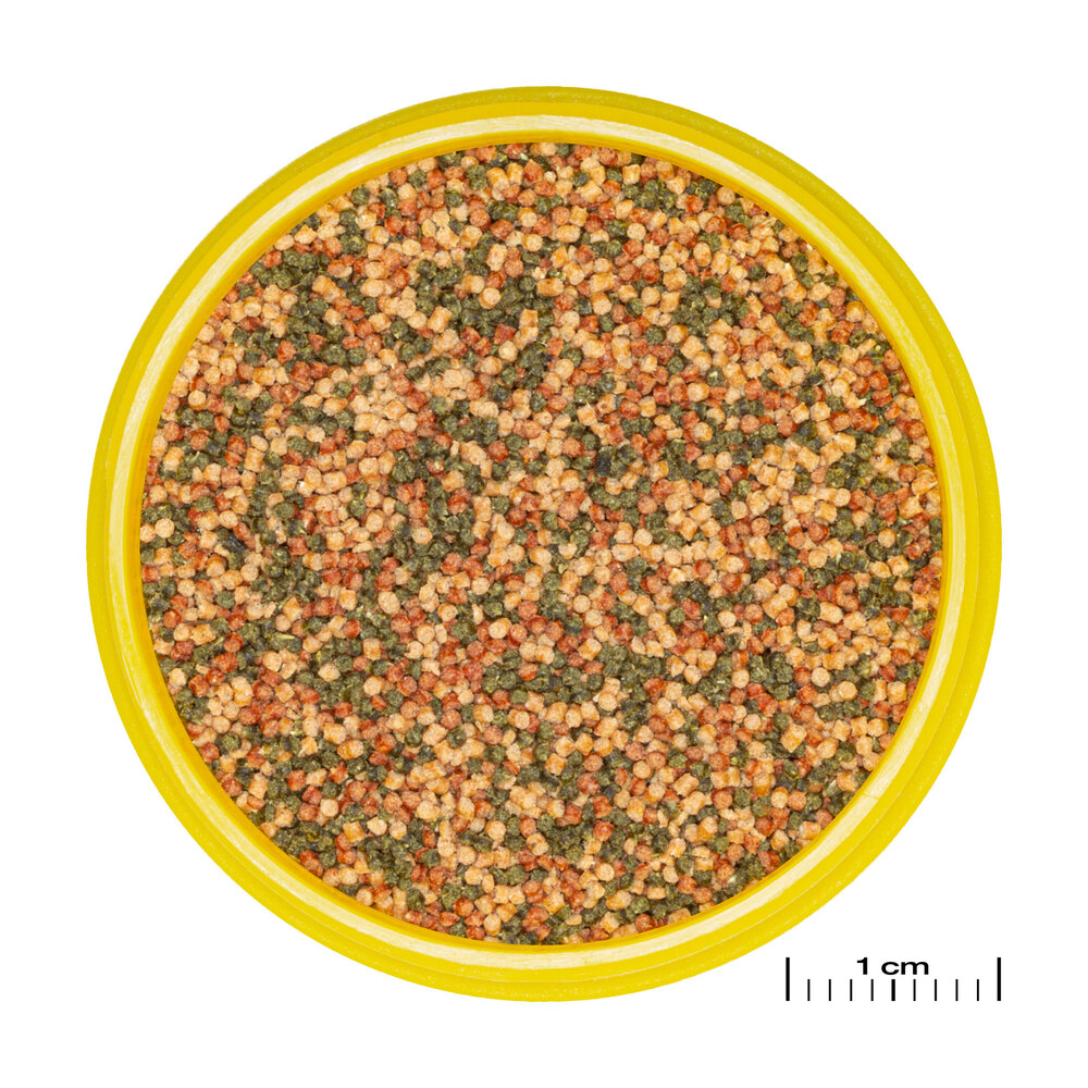 JBL JBL  NOVO BEL GRANO S