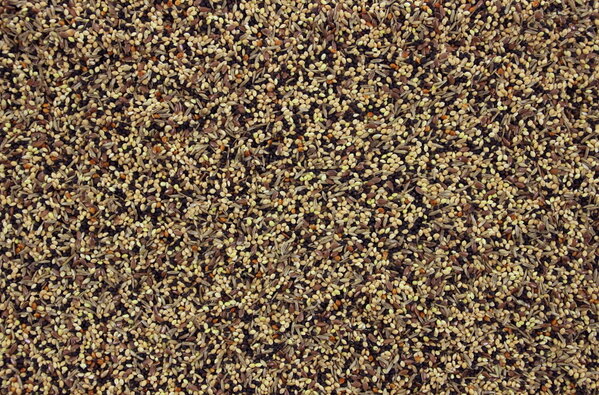 Tijssen Onkruidzaad Tijssen Onkruidzaad