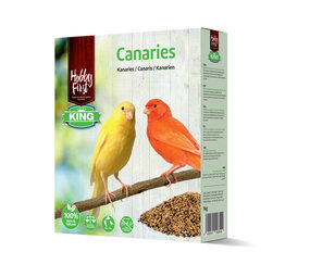 Hobby First Hobby First King Kanarie Hobby First Hobby First King Kanarie