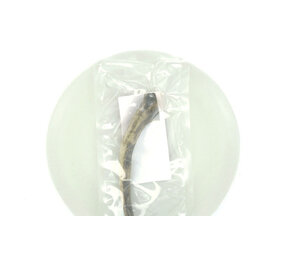 Ruinemans HERTENGEWEI S (5075G) 1ST Ruinemans HERTENGEWEI S (5075G) 1ST