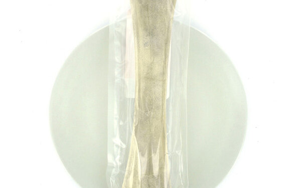 Ruinemans BOT 125 INCH (31CM) 1ST Ruinemans BOT 125 INCH (31CM) 1ST