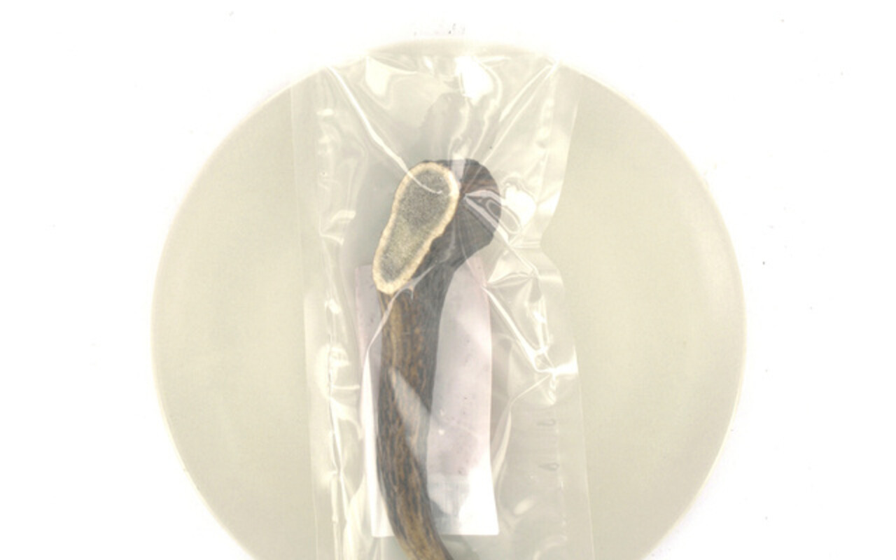 Landman HERTENGEWEI M (76150G) 1ST
