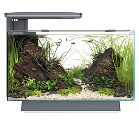 Superfish SUPERFISH QUADRO 40 MULTI COLOUR ZWART Superfish SUPERFISH QUADRO 40 MULTI COLOUR ZWART