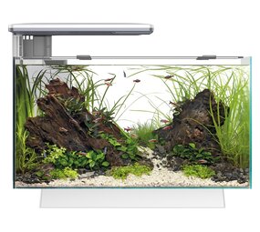 Superfish SUPERFISH QUADRO 40 PRO WIT Superfish SUPERFISH QUADRO 40 PRO WIT