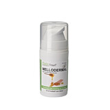 Phyto PHYTOTREAT MELLODERMAL INDOOR HONINGZALF 15ML Phyto PHYTOTREAT MELLODERMAL INDOOR HONINGZALF 15ML