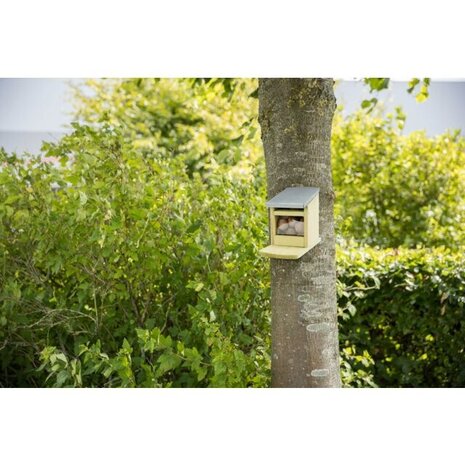 Trixie VOEDERHUIS VOOR EEKHOORNTJES 12 X 18 X 24 CM Trixie VOEDERHUIS VOOR EEKHOORNTJES 12 X 18 X 24 CM