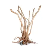 HS Aqua Producten | Alles voor een Gezond & Helder Aquarium WOOD STUMP 60 CM TOT 90CM HS Aqua Producten | Alles voor een Gezond & Helder Aquarium WOOD STUMP 60 CM TOT 90CM