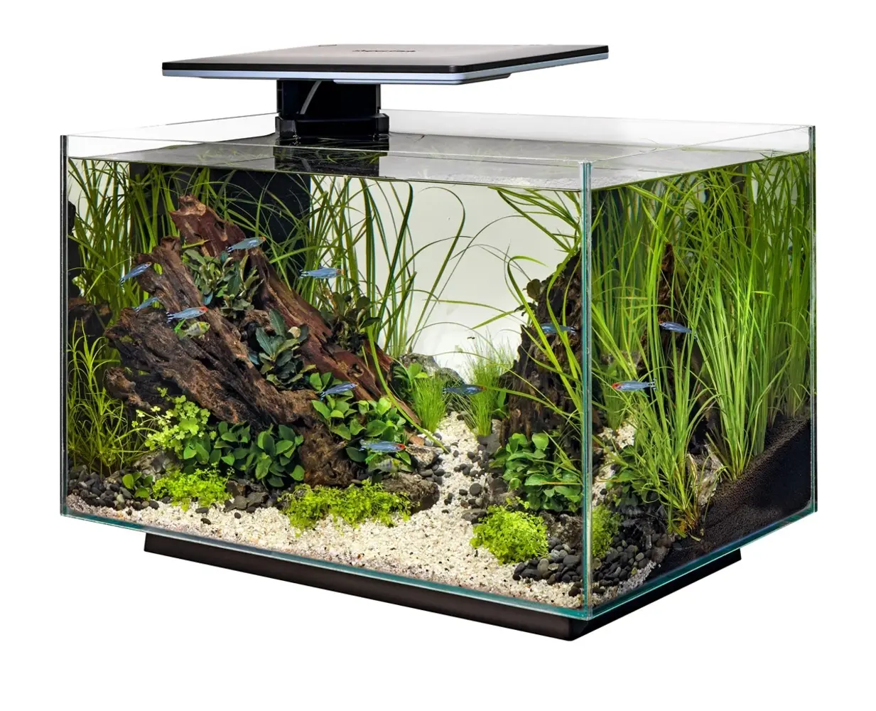 Superfish SUPERFISH QUADRO 70 PRO ZWART