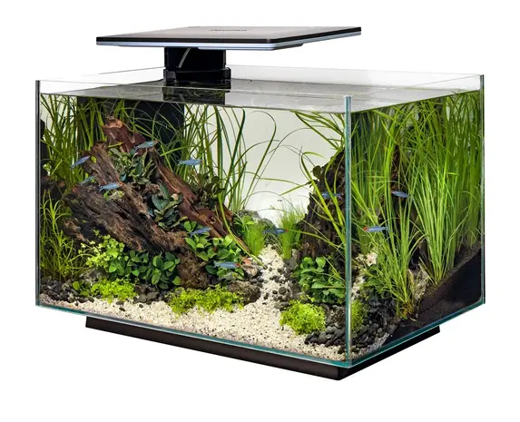 Superfish SUPERFISH QUADRO 70 PRO ZWART