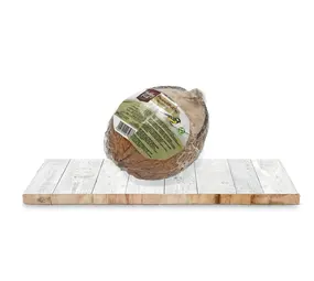 Hobby First HOBBY FIRST WILDLIFE PINDAKAAS COCOSNOOT Hobby First HOBBY FIRST WILDLIFE PINDAKAAS COCOSNOOT