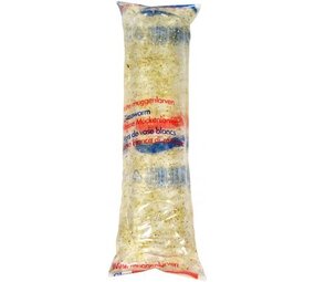 Levende witte muggenlarven Levende witte muggenlarven