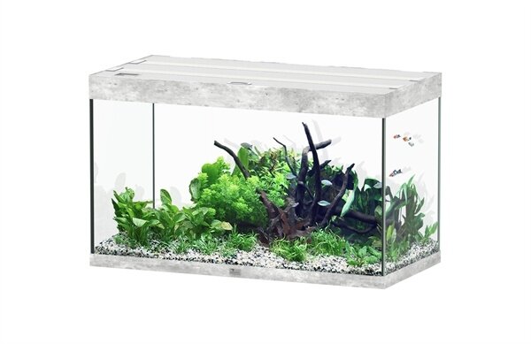 Aquatlantis Aquatlantis Aquarium Sublime 100x50 Cm Aquatlantis Aquatlantis Aquarium Sublime 100x50 Cm