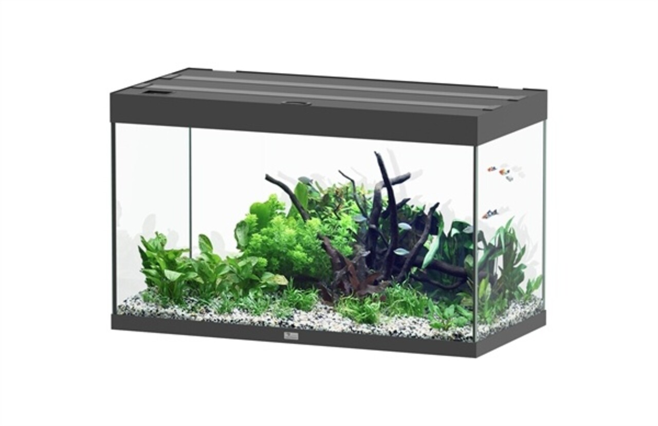 Aquatlantis Aquatlantis Aquarium Sublime 100x50 Cm Aquatlantis Aquatlantis Aquarium Sublime 100x50 Cm