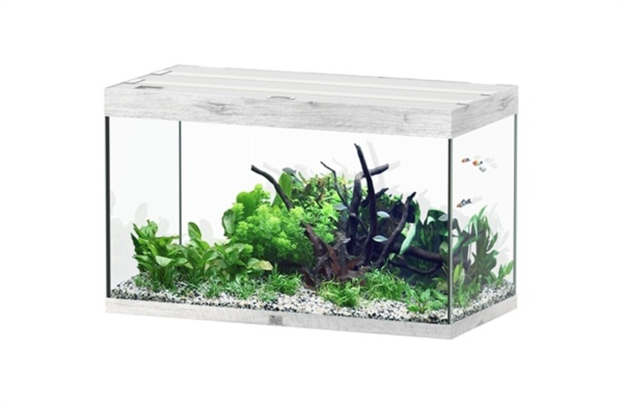 Aquatlantis Aquatlantis Aquarium Sublime 100x50 Cm Aquatlantis Aquatlantis Aquarium Sublime 100x50 Cm